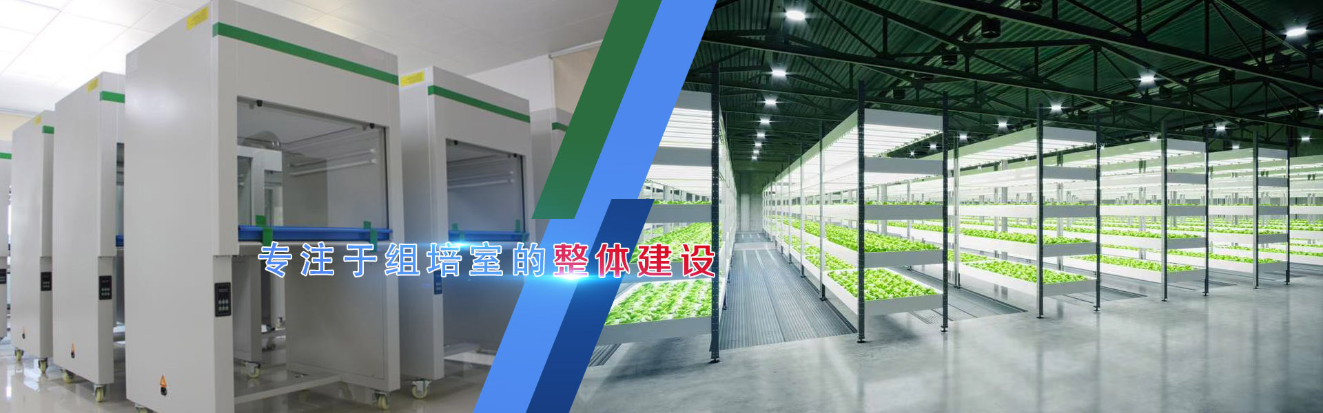 組培、組培架